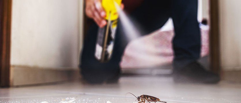 Cockroach-control