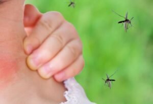 _Mosquitoes Control