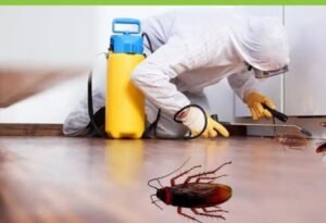 cockroaches-control-1