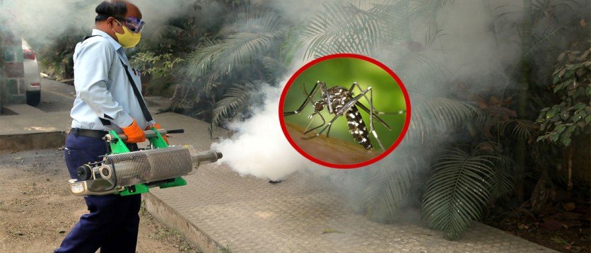 mosquito-control-ft-img1
