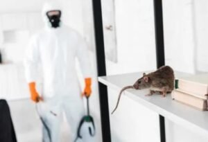 rat-control-1